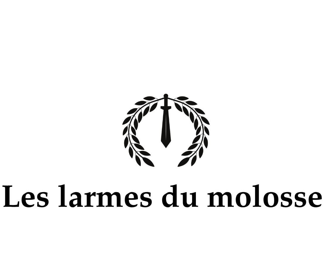projet4